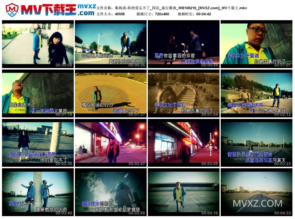 靳海涛-你的爱忘不了_国语_流行歌曲_MB108216